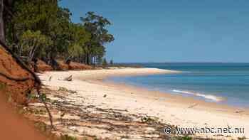 'They omitted everything': Tiwi Islanders accuse Santos of downplaying environmental risks of proposed gas project