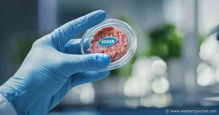 Nauseating Report: Precancerous Cells Found in Lab-Grown Meat