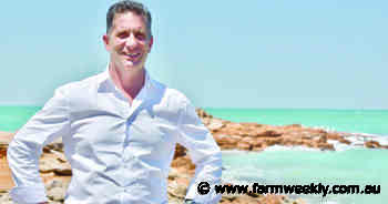 Gun owners take aim at reforms