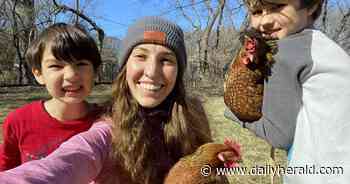 Palatine sets guidelines -- including neighbor approval -- for backyard chickens