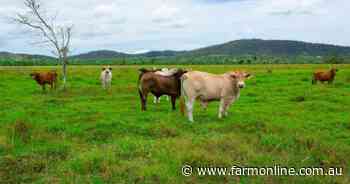 Coastal cattle country asking $11.5 million