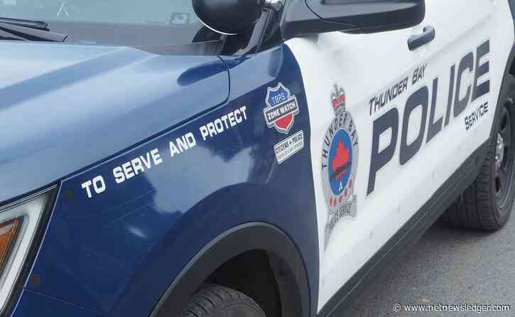 Violent Assault and Robbery in Thunder Bay Results in Multiple Arrests