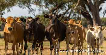 Sustainable ag leaders put three blocks up for sale in Victoria