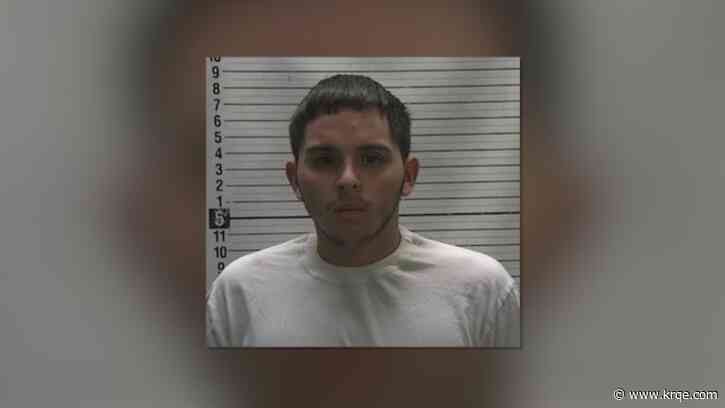 Man takes plea deal after deadly Border Patrol crash