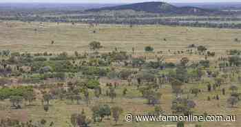 South west buffel grass country sells for $355/acre | Video