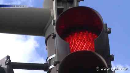 San Juan County sheriff shoots a dog fearing attack