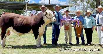 'Back in full force': See photos from The Inverell Show