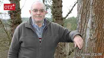 Orlamünder Stadtwald könnte an Höhe verlieren