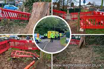 'Mess' after work to make Hempstead Road fatal crossing safe