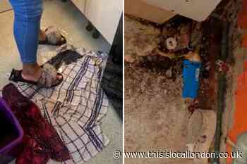 Erith family suffers as Orbit Home floods