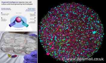 Are we on the brink of creating a machine with a human BRAIN?