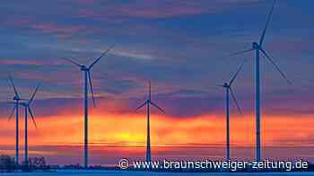 Bärbel Rogoschik: Artenschutz wird für Windkraft ausgesetzt