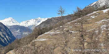 Historische Schneearmut in den Alpen führt zu Wassermangel  Trockenheit nimmt zu