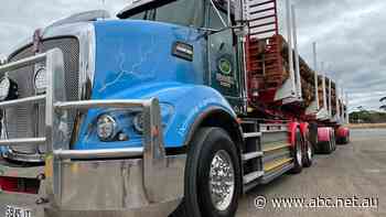 Electric vehicle logging truck trial underway in South Australia as state government watches on