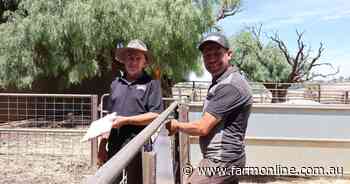 SA Jersey Cattle Club Competition presents Barossa dairy winner