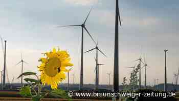 Region blockiert Windkraft-Urteil mit Beschwerde