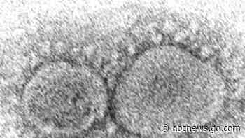 Coronavirus origins still a mystery 3 years into pandemic