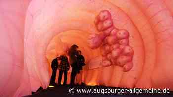 Infotag zu Darmkrebs in Ulm