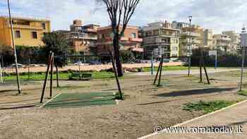 Aree gioco off limits per migliaia di bambini: rimosse tutte le altalene