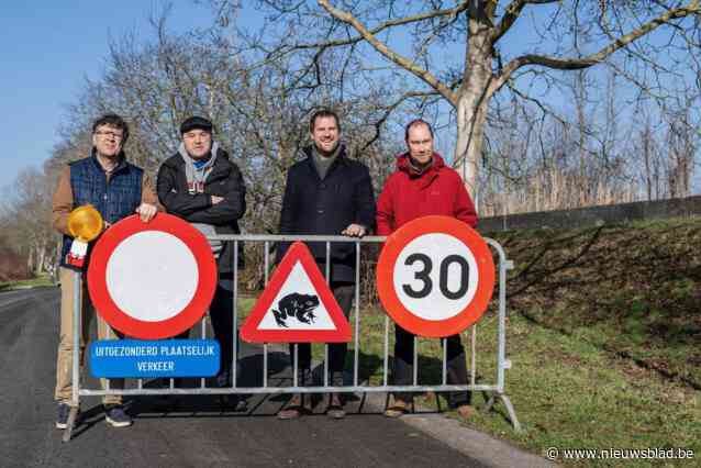 Natuurpunt en stad organiseren samen paddenoverzetacties