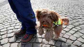 Mann beweint seinen toten Hund in der Jenaer Innenstadt