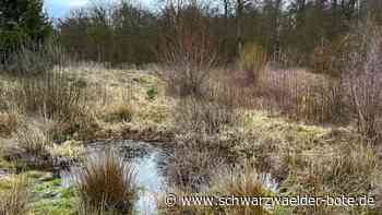 Beitrag zum Artenschutz: Ein Gesamtplan für Wildbergs  Biotope