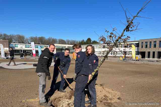 Leerlingen middelbare school SILA Westerlo verfraaien ontharde speelplaats: “Minder stress na speeltijd tussen het groen”