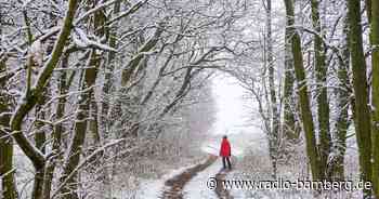Wie sieht die Winterbilanz für Bamberg und Forchheim aus?