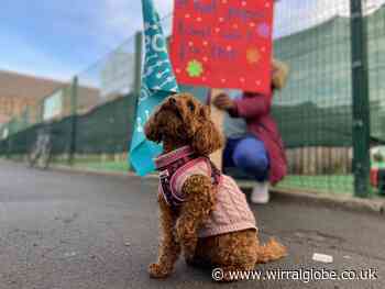 'The pressure’s piled on constantly' - teacher’s strike hits Wirral