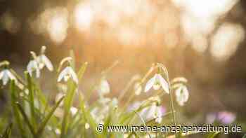 Ist jetzt wirklich Frühling?