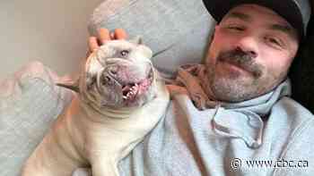 Vancouver police shoot man twice in case of mistaken identity