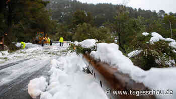 Wegen Wintertief: Mallorca im Schneechaos