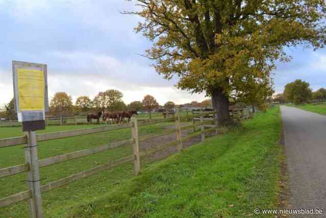 CD&V wil wel greenfields laten aansnijden voor landbouw, Groen noemt dit ontoelaatbaar