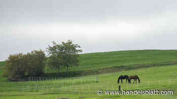 Steuertipp: Käufer können bei unerschlossenem Grundstücken auf niedrigere Grunderwerbsteuer hoffen