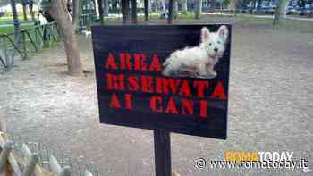 Riqualificare ed aprire nuove aree cani, arriva il no del Campidoglio