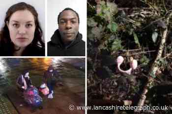 M61: Parents of missing baby held on suspicion of manslaughter