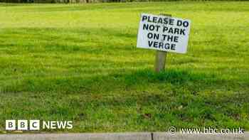 East Yorkshire grass verge parking 'blights' rural areas, says councillor