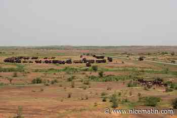"Quel est le projet de l'intervention militaire en Afrique?" Une experte décrypte le discours d'Emmanuel Macron