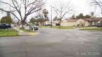 3 dogs found stabbed to death in central Fresno, police say