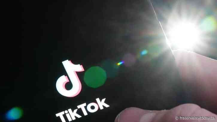 Conservative, NDP leaders suspend use of TikTok video app as House brings in own ban