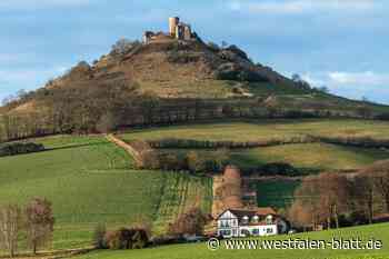 Forscher finden geheimen Desenberg-Stollen in Warburg