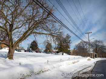 Suspicious death of McGill student remains unsolved 48 years later