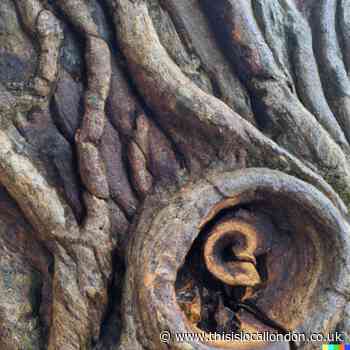 The Hidden Link – Maths in our lives, Elleanore Phillips, Townley