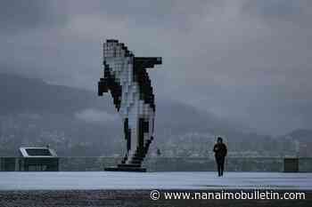 Latest snow on B.C. south coast slams morning commute, brings delays, cancellations