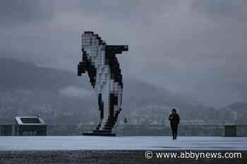Latest snow on B.C. south coast slams morning commute, brings delays, cancellations