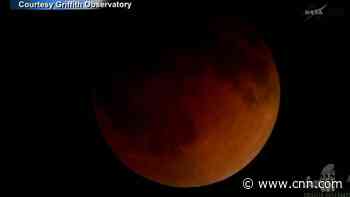 Blood moon: Red hue lights up night sky