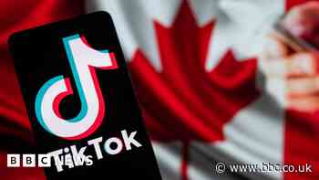 Canada bans TikTok on government devices