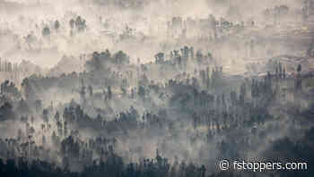 How to Unlock the Full Potential of Your Photos With Topaz Photo AI