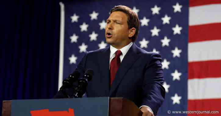 DeSantis Gives National Democrats a Terrifying Message About What Happened to Their Florida Brethren: 'A Dead, Rotten Carcass'