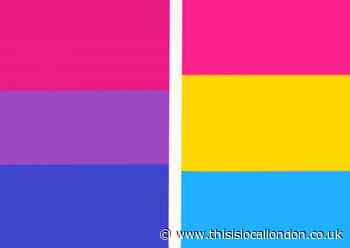 Bisexuality or Pansexuality? By Xinyi Li, Notre Dame Senior School